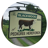 Blackwood Pedigree