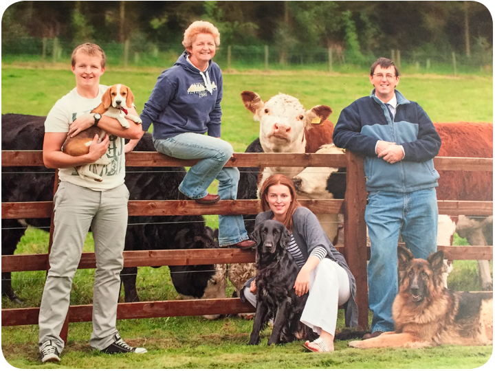 Farm reared beef